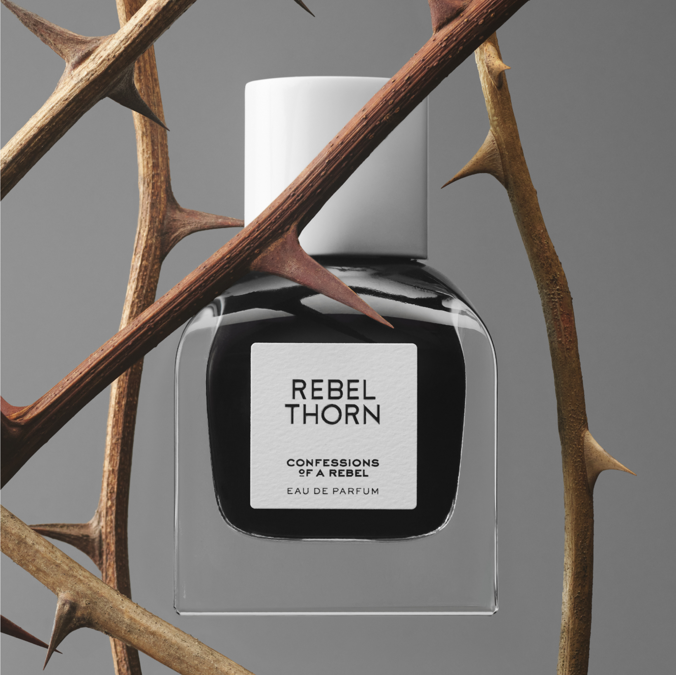 Rebel Thorn